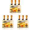 Sant'Orsola - Mini Bottiglie Prosecco D.O.C. Millesimato Extra Dry, da Uva Glera, Gusto Fresco con Note Fruttate, 3x200 ml (Confezione da 3)
