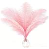 AOOTE Grandi Naturale Piume, 12 Pezzi Piuma di Struzzo Naturale, 25-30cm Piume Decorative, per Matrimoni, Lavori Artigianali, Abbigliamento, Decorazioni Natalizie, Feste a Tema, Personaggi, Rosa