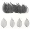 HAOBIN 50 Pezzi Foglie Di Scheletro Naturali Foglie Secche Scheletriche Foglie Essiccate Al Naturale Foglie Secche Miste Utilizzato per il mestiere di diy scrapbook craft card making (marrone scuro)
