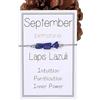 oasymala Bracciale Regolabile con Pietra del Compleanno per Donna - Granato, Ametista e Altro, Gioiello in Pietra Naturale Fai da Te per Regali Mensili (Settembre - Lapislazzuli)