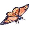 Lilizzhoumax Farfalla monarca Peluche Realistica Animale Adorabile Regali Morbidi e Carini Bello Farfalla Ragazzi e Ragazze Giocattoli per bambini Collezione regalo di compleanno 11pollice arancia