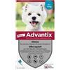 Advantix BAYER ADVANTIX Cane Picolo (4 à 10 Kg) (6 pipette de 1 ml)