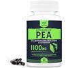 Solavica PEA Liposomiale 1100mg - Palmitoiletanolamide Micronizzata con Luteolina (Confezione da 2)