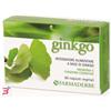 FARMADERBE SRL GINKGO BILOBA 60 CAPSULE