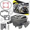 Area1 Cilindro di Ricambio 50cc 2T LC Raffreddato a Liquido per Scooter - Compatibile con Speedfight 2, Elyseo, Elystar, Vivacity, Trekker, Limbo, Buxy, Squab, TKR, Zenith, SV, Looxor, Splinter
