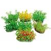 AMTRA Croci Tropical Plant Series CM.8