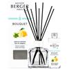 MAISON BERGER PARIS Bouquets Zeste De Verveine 2 pz Diffusore con Ricarica con Bastoncini + Ricarica 100 ml Ricaricabile Cofanetto