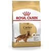 ROYAL CANIN ITALIA SpA BHN COCKER ADULT 3KG