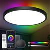 ANTENLICHT Lampada da soffitto LED Smart 24 W, compatibile con Alexa e Google Assistant Ø30 cm, controllabile tramite app con 16 milioni di colori fai da te,plafoniera WiFi con telecomando per camera