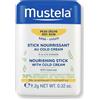 LAB.EXPANSCIENCE ITALIA Srl Mustela Stick viso nutriente alla cold cream - 9,2 grammi