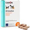 CAMON | Artosalus, Alimento Complementare per Cani e Gatti, 30 Compresse da 1000mg, Supporto per Articolazioni e Osteoartrite