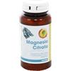 Funghi Energia & Salute MAGNESIO CITRATO 120 COMPRESSE 122 G