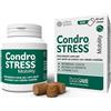 INNOVET ITALIA Srl Condrostress Mobility - 60 bocconcini masticabili (soft chews)