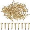 M METERXITY 200 Pcs Piccoli Chiodini, 1.2mm x 8mm Chiodi Di Precisione In Ottone Testa Tonda Per Legno/DIY Decorazioni/Casa/Accessori Per Appendere Quadri