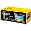 DECA Caricabatterie Inverter Deca FL 2213D