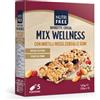 NT FOOD Srl NUTRIFREE BARRETTE CEREAL MIX WELLNESS 28 G X 5