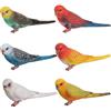 JOKFEICE HOMNIVE Set di 6 statuette realistiche di uccelli, modellini di animali in plastica, giocattoli educativi per bambini e bambine