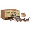 Reptiles-Planet Reptiles Planet - Repti Nature Faggio - Kit Substrato Faggio e Decorazione per Terrario