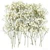 SIDMKA 50 Pezzi Fiori Secchi Di Gypsophila,Fiori Secchi Piccoli,Fiori Secchi per Il Fai Da Te,Fiori Secchi Bianchi per Segnalibri Fai Da Te,Decorazioni per Matrimoni,Decorazioni per La Casa,Artigianato