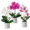 PASCH® Fiori artificiali in vaso (35 cm) - Set di 3 orchidee artificiali in vasi di cemento, fiori artificiali, orchidee artificiali (bianco rosé, vasi di cemento)