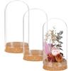 BENECREAT 3 Barattoli Vetro con Cupola 65x133mm, Custodia Decorativa in Vetro con Cloche A Campana - Per Piante, Esemplari e Decorazioni da Tavolo