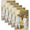 Alishomtll Cornice portafoto DIN A3, set da 5 pezzi, 29,7 x 42 cm, in plastica, per più foto, Argento