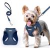 rabbitgoo Pettorina Cane Taglia Piccola con Guinzaglio, Blu Scuro XS | Imbracatura per Cani Piccoli, Rete Leggera Morbida Traspirante, Strisce Riflettenti, Regolabile, per Corse, Giochi e Viaggi