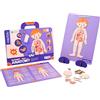 mierEdu MIER EDU Magnetic Pad Anatomia ME0511