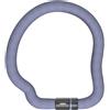 ABUS 6206K/110 FLINT GOOSE LOCK Lucchetto a Catena