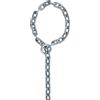 ABUS CHAIN 9KS250 W/O SLEEVE Lucchetto