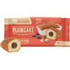 NOVE ALPI Srl AGLUTEN PlumCake Gianduia4x40g