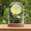 Pavlleen Fiore Desiderato, Vero Dente di Leone in Vetro con Luce LED, Regalo Decorativo per Donne, Fidanzate, Ragazze, Compleanni, San Valentino, Matrimoni, Materiale Vetro, Colore Verde Smeraldo