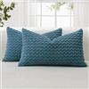 JOTOM Federe per Cuscini Decorativo in Velluto a Coste Morbide 30x50 cm Set di 2 Federe Decor per Cuscini con Texture a Bolle 3D Federa per Divano Sofà Camera da Letto (Blu Polvere)