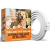 AAROVIBE Collare Antiparassitario per Cani, Regolabile e Impermeabile con Protezione Naturale, 65cm Adatto a Tutte le Taglie, Protezione Efficace per 12 Mesi (1 Pack)