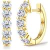 FIOROYAL Orecchini Cerchio Argento 925 Moissanite Orecchini Donna Anallergici Cerchio Piccoli Placcato Oro 14K Diamante Simulato Colore D VVS1 Regalo Gioielli Donna Uomo G3
