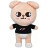 FORDJA Peluche da 25 cm, stile skzoo, Stray Kids, peluche dei cartoni animati, simpatico pezzo da collezione per i fan, adatto come compagno quotidiano (og)