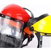 NONE Cappello per casco di sicurezza per tagliaerba da giardino con maschera a rete integrale per protezione forestale con decespugliatore