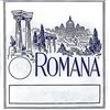 Romana Chord Zither Set di corde 25 corde