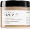 Ziaja Baltic Home Spa Wellness 300 ml