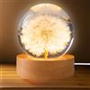 GOMETY Sfera di cristallo, luce notturna, 6 cm, pupazzo di vetro, lampada da notte, luce notturna a forma di fiore con base in legno USB, ideale come regalo