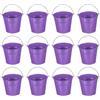 PATIKIL Secchi Metallici Piccoli con Manico, 12 Pz Secchi Galvanizzati Mini Colorati per Pasqua Artigianato Feste Decorazioni, Viola Scuro