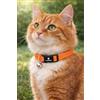 Flamingo collare gatto - Elza arancione 20-34 cm - nylon elastico riflettente con campanellino
