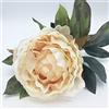 WELL HOME MOBILIARIO & DECORACIÓN Bouquet di peonia Tessuto a Colore, Salmone 80 Cm, Unitario