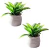 Ymhapp 2 vasi decorativi per casa delle bambole in miniatura verde in vaso, modello bonsai per casa delle bambole, accessori decorativi, scala 1:12, modello di pianta in miniatura, decorazione fai da te