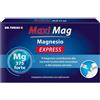 Dr Theiss Maxi Mag Express 14 Stick Stress