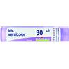 BOIRON Srl Iris Versicolor 30CH Boiron 80 Granuli 4g
