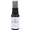 NORSAN SRL Zreen q10 ubiquinolo liposomiale 20 ml senza glutine senza lattosio senza conservanti