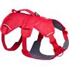 Ruffwear Web Master, pettorina per cani a Y con manico e fibbia migliorata, regolabile e leggera, per passeggiate ed escursioni, anti fuga, anti-trazione, traspirante e confortevole, Red Canyon, S