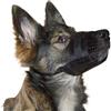 Kerbl Pet Kerbl, museruola per Cani, in Nylon