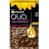 L'OREAL ITALIA SpA DIV. CPD GARNIER OLIA CASTANO CHI DOR